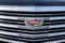 2019 Cadillac Escalade ESV Platinum