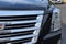 2019 Cadillac Escalade ESV Platinum